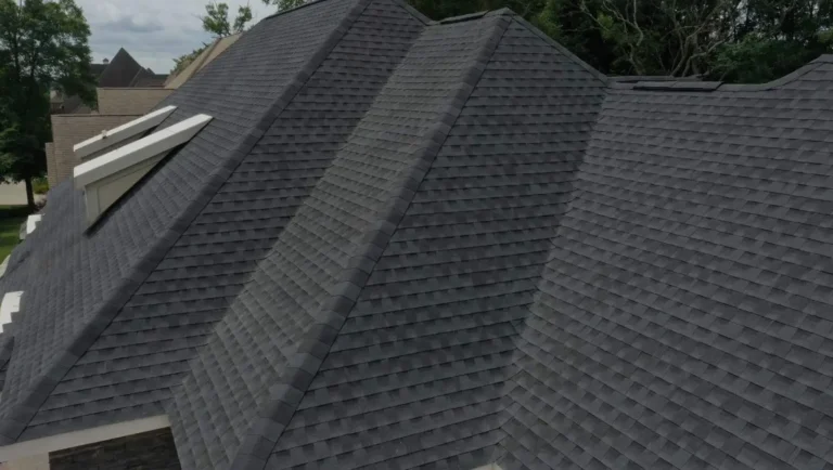 sunbelt roofs